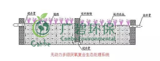 養(yǎng)豬場污水處理方法 養(yǎng)豬場廢水處理設(shè)備的應(yīng)用(圖5)