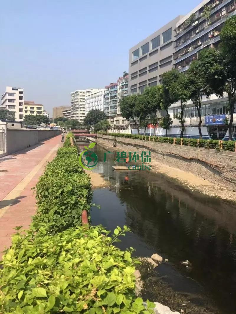 廣州白云區(qū)棠景沙涌已完成雨污分流(圖2)